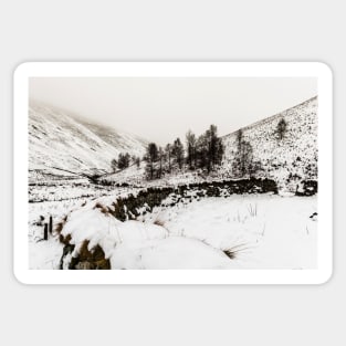 Winter In The Coquet Valley Sticker